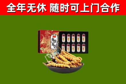 乌兰浩特市烟酒回收冬虫夏草礼盒.jpg